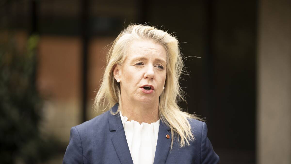 Bridget McKenzie has joined fellow Nationals in rejecting the concept of Voice to Parliament for Aboriginal and Torres Strait Islanders. 