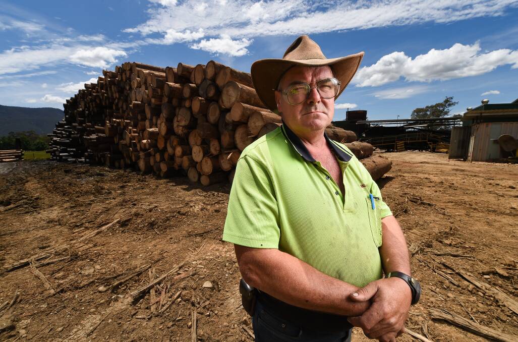 Concerned Production manager at Walkers Sawmill Sam Turner with part of the mountain of logs at the Corryong plant that are converted into pallets. Picture: MARK JESSER