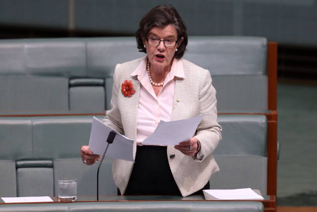 Need so super: Cathy McGowan has told parliament extra measures can be taken by the government to protect workers' retirement contributions.