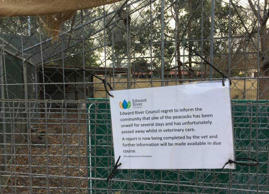 Obituary notice: A sign tied up by Edward River Council tells visitors of the demise of the last peacock to have lived in Deniliquin's town aviary.