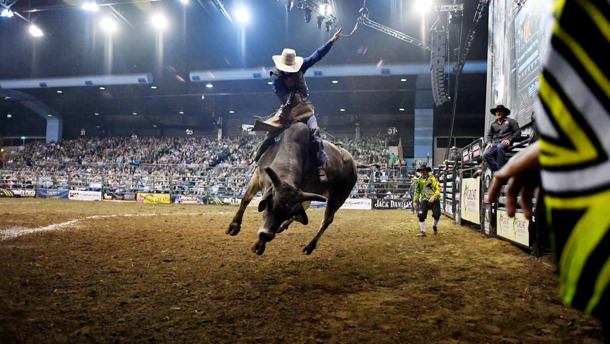 Hang on: Bull rider Cody Heffernan competes in a PBR event held in Newcastle last year. Those competing in Wodonga will earn points as part of a national circuit.