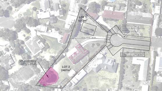 A plan showing how the planned subdivision could have appeared. The area in pink contains the so-called Phar Lap tree. 