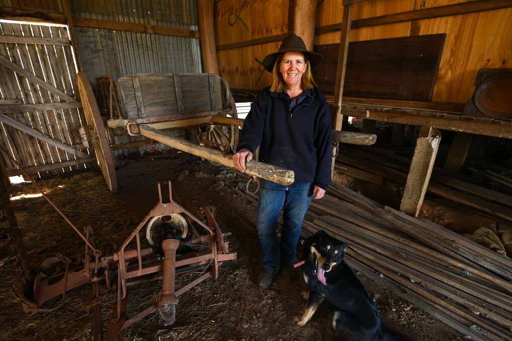 Go-getter: Loretta Carroll with her dog Ned and tipping dray which has been in her family for 100 years. Picture: MARK JESSER