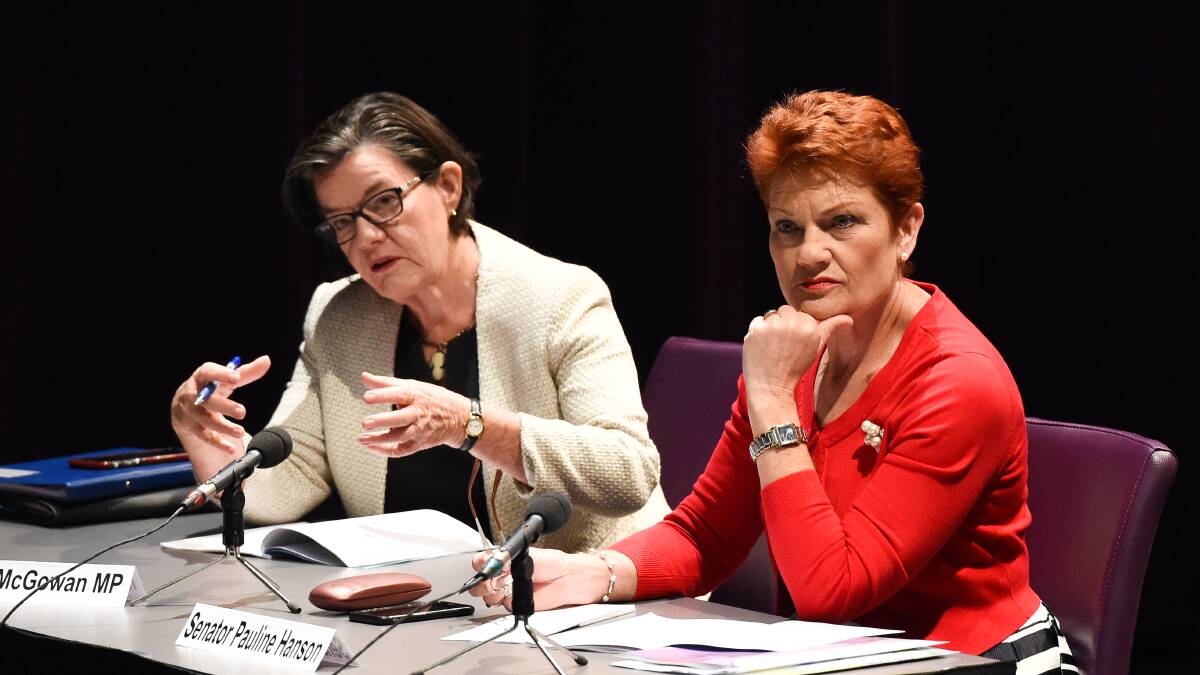 Not on the same page: Cathy McGowan was not pleased with Pauline Hanson wearing a burqa in federal parliament on Thursday. They are pictured at a hearing into the NBN's rollout, held in Wodonga in April. 