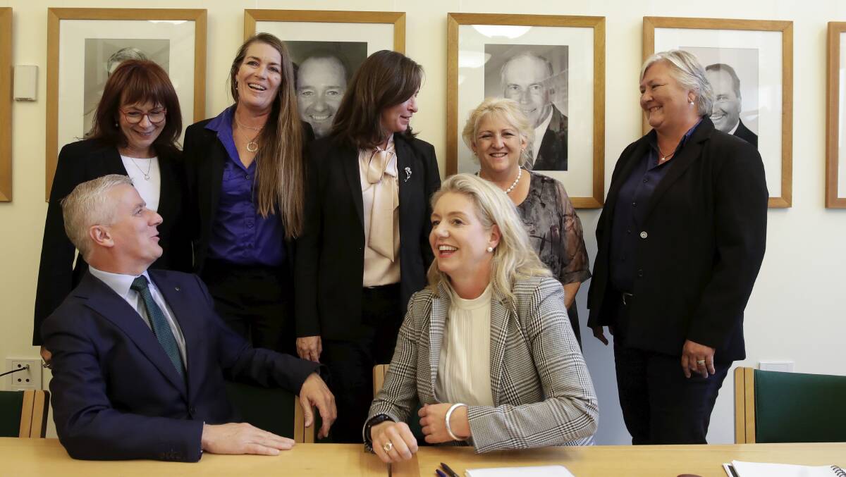 Officially in: Perin Davey (second from left at rear) with fellow Nationals MPs at Parliament House in Canberra last month. 