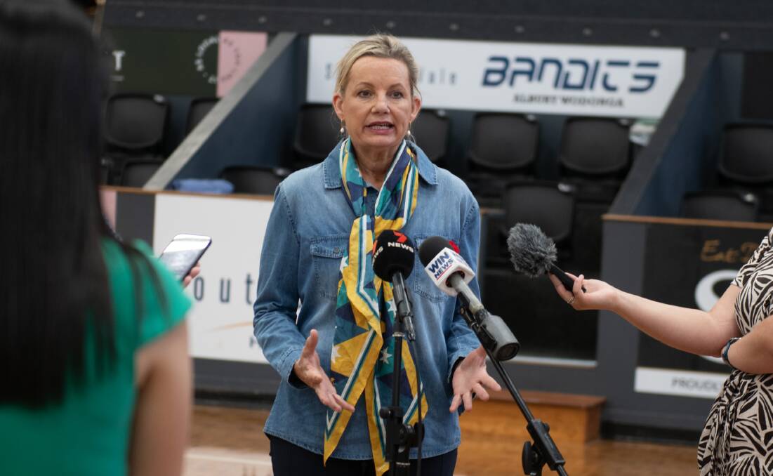 Sussan Ley give her thoughts on the Albury hospital redevelopment and her plan for private involvement while at the Lauren Jackson stadium. Picture by Tara Trewhella