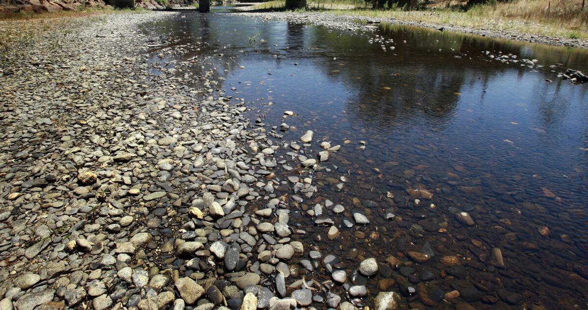 AWFUL SURPRISE: The Ovens River at Myrtleford held a horrible sight for Nicholle Nolan when opened a garbage bag that had been dumped there.