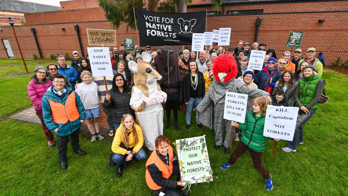 The crowd which gathered at Albury's QEII Square to call for greater legislative protection of native forests across Australia. Picture by Mark Jesser