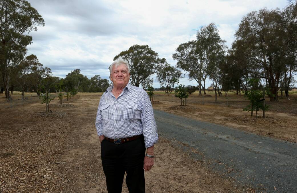 Branching out: Rutherglen RSL sub-branch secretary David Martin between the line of oak saplings that form the new Browns Plains Avenue of Honour. The Murray Valley Highway is in the background. Picture: TARA TREWHELLA
