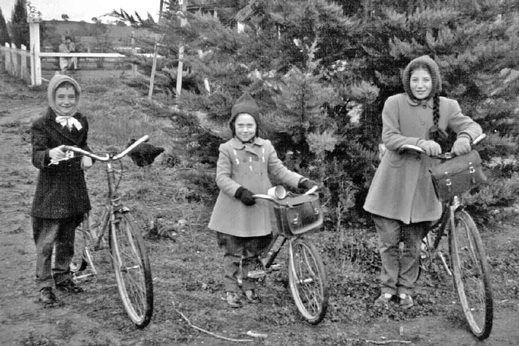 Yesteryear: The then Colleen Mullavey (right) joins her sister Dawn (left) and cousin Ann (centre) in heading off to Mullengandra Public School from their family properties near the Hume Highway in the 1940s.