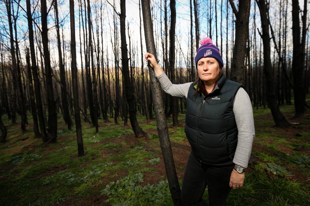 Grim: Vanessa Keenan in a Maragle Valley pine plantation which had fire-hit trees crowning 45 metres high. Pictures: JAMES WILTSHIRE