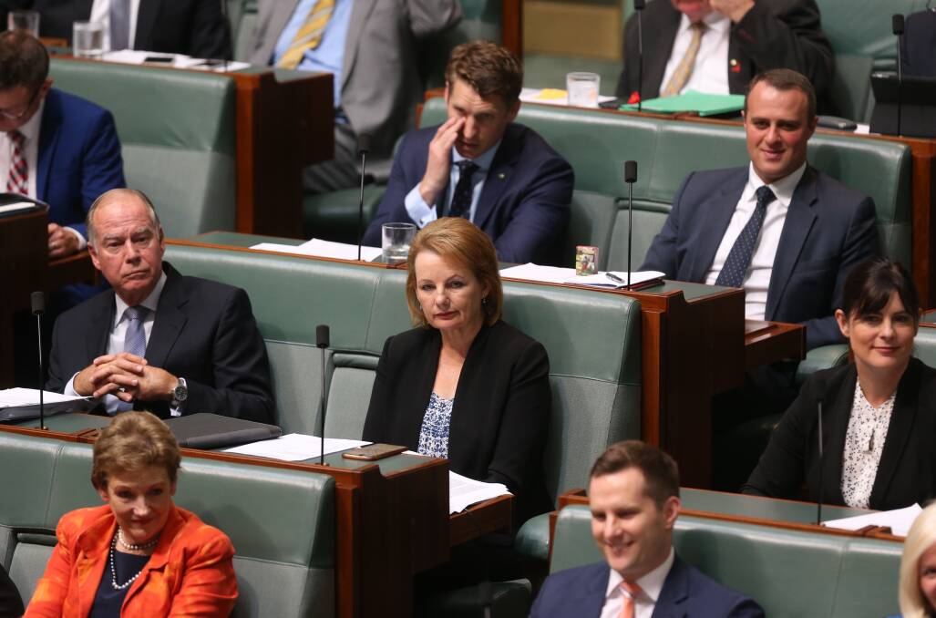 Looking on: Sussan Ley on the backbench during question time on Wednesday after she spoke in the Federation Chamber about the Department of Finance's report into her travel to the Gold Coast as health and sport minister.