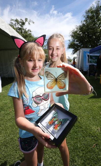 Winging it: Mia Howard, 7, and her sister Zoe Howard, 10, from Howlong, amazed by the butterflies at the Museum Victoria exhibit. Picture: KYLIE ESLER