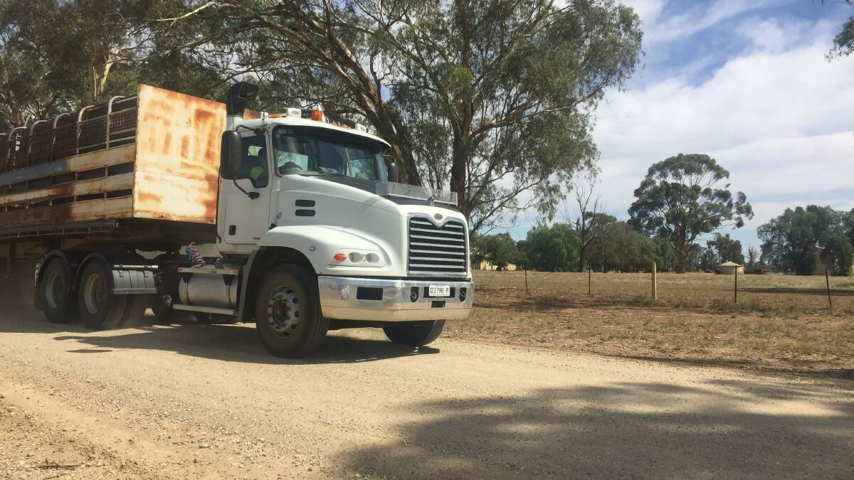 On the road: A cattle truck traverses a gravel road in Federation Shire.
