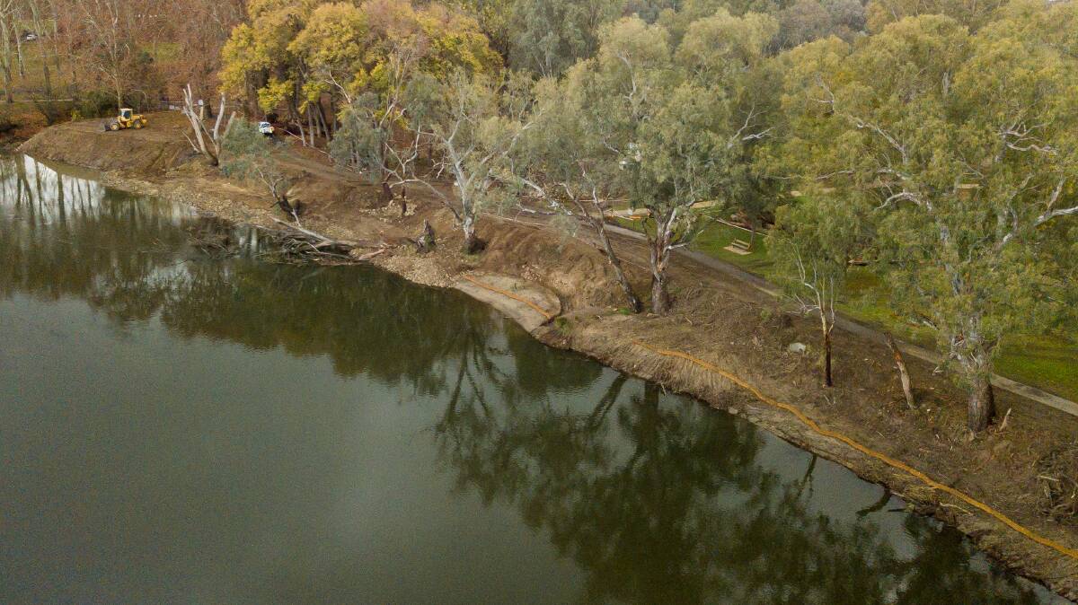 Stripped back: Gaps show up between remaining native trees along the Murray River in Albury's Oddies Creek Park after the removal of willows and privet. Picture: MARK JESSER