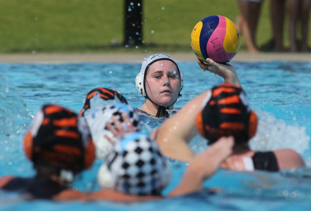 Caught in the crossfire: Junior water polo players with Albury's Sharks and Tigers teams compete at WAVES in Wodonga earlier this year.