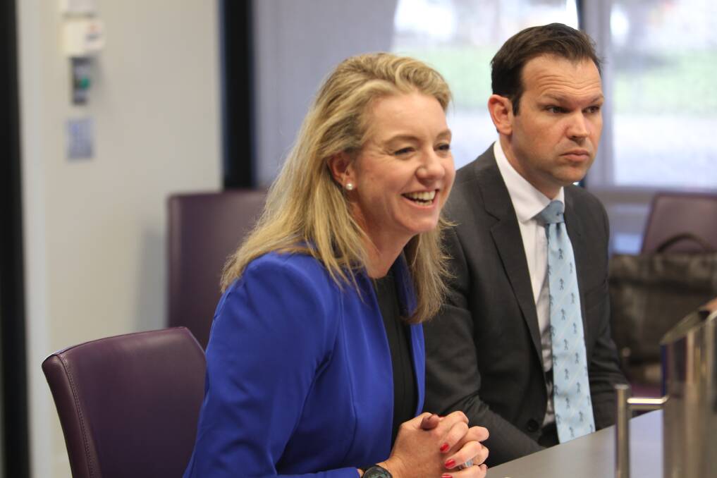 Still together: Nationals senators Bridget McKenzie and Matt Canavan, during a visit to Wodonga in 2017. The pair have retained their leadership roles in the Upper House despite no longer being ministers.
