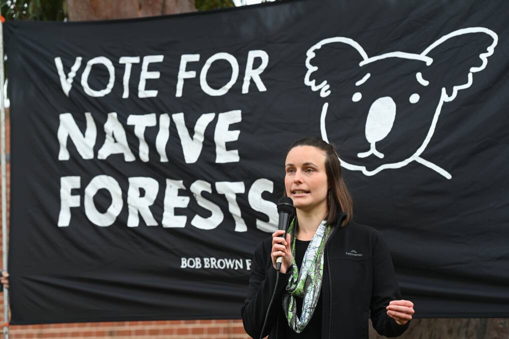 Greens Upper House member Amanda Cohn addresses those wanting to see greater protection of forests. Picture by Mark Jesser