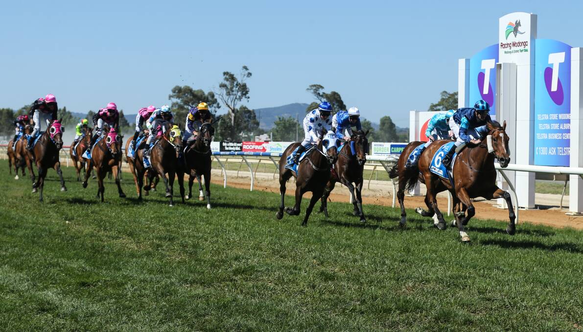 FEATURE SUCCESS: The connections of Master Reset were jumping for joy after winning the Wodonga Cup on Friday. Picture: JAMES WILTSHIRE