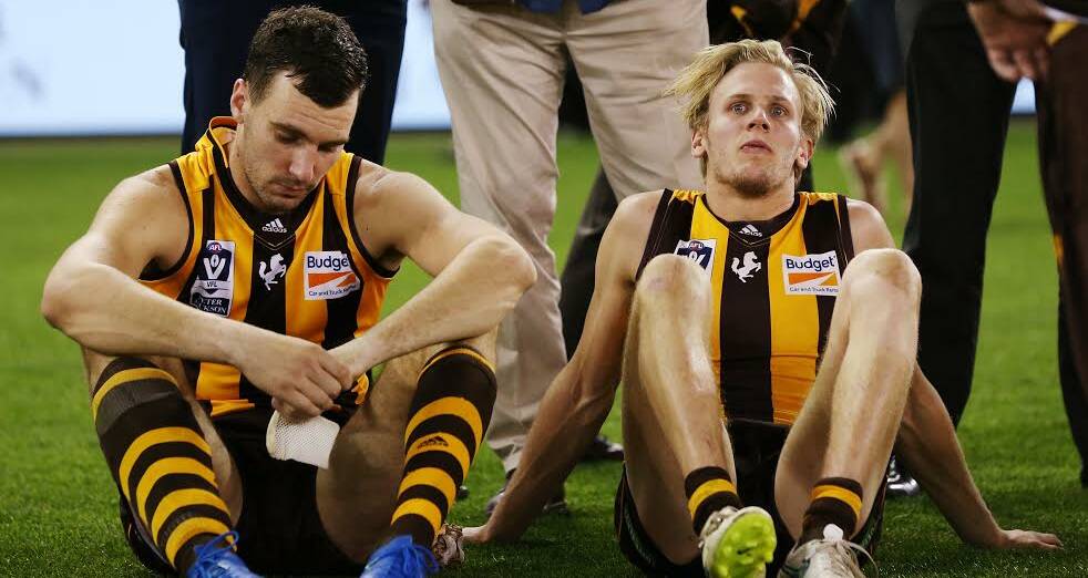 DOOR AJAR: Hawthorn's Jonathon Ceglar and Will Langford after Box Hill's VFL grand final loss. Both missed a spot in the AFL grand final against West Coast.