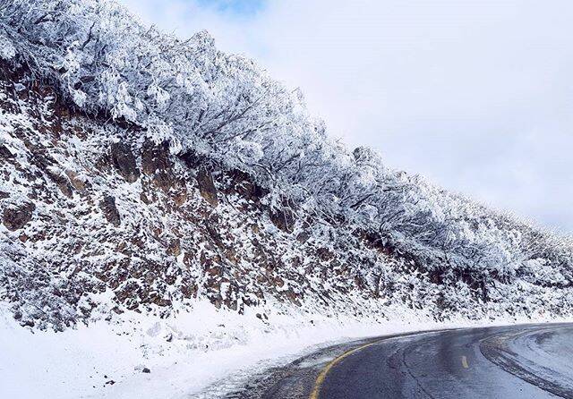 It's like driving in a snow globe ❄ Today's Instagram #PicoftheDay is by @tiannanadalin. 