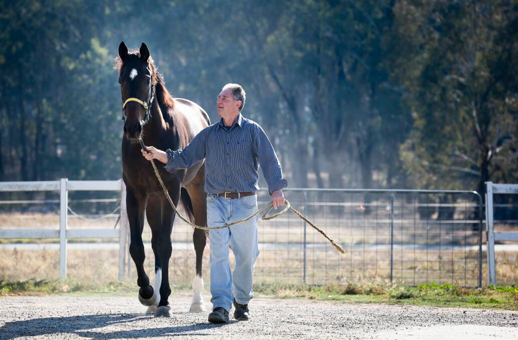READY TO RACE: Albury trainer Garry Worsnop is banking on Nothin' Like Harry producing his best at Wagga on Friday. Picture: KYLIE ESLER