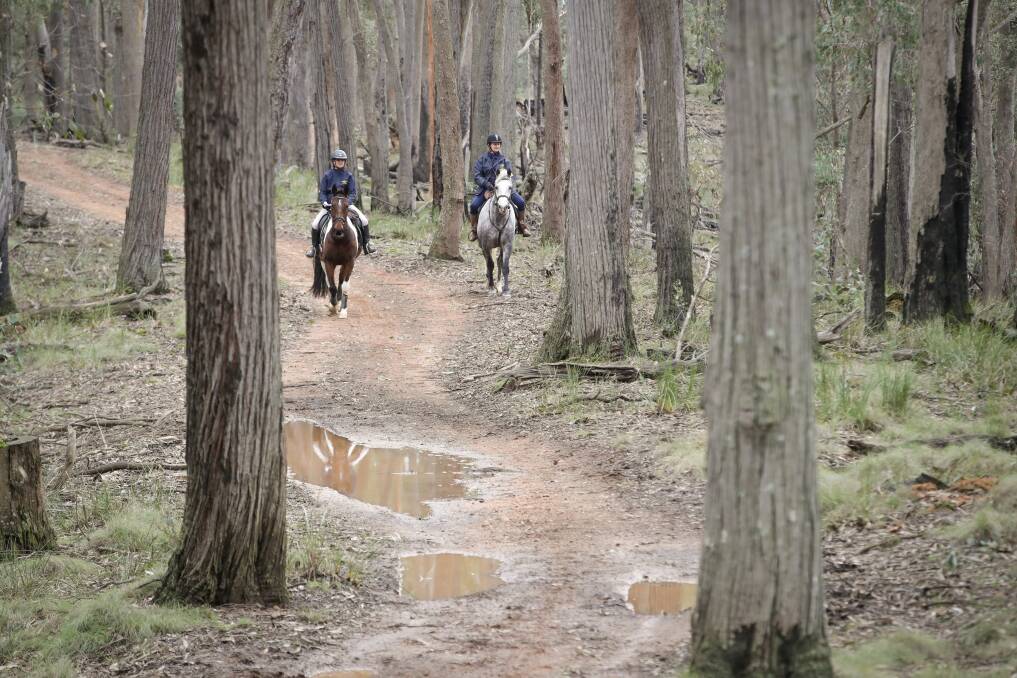 TOUGH COURSE: Pam Kennedy and Vicki Johnson compete in the Horse Riding Clubs Association of Victoria navigation ride near Yackandandah. Picture: JAMES WILTSHIRE
