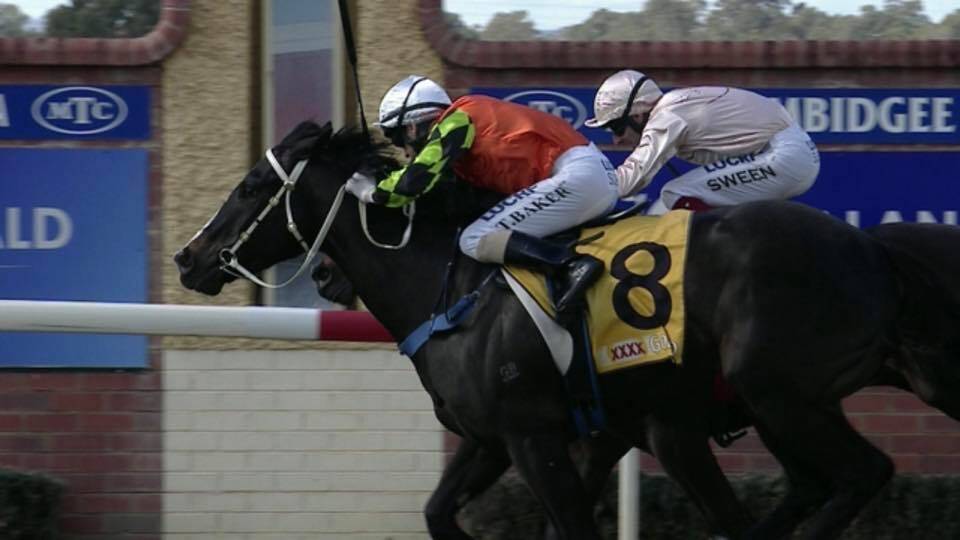 Albury trainer Mitch Beer's Blue Jean Baby (8) edges home in the first race at Wagga. Picture: THE DAILY ADVERTISER