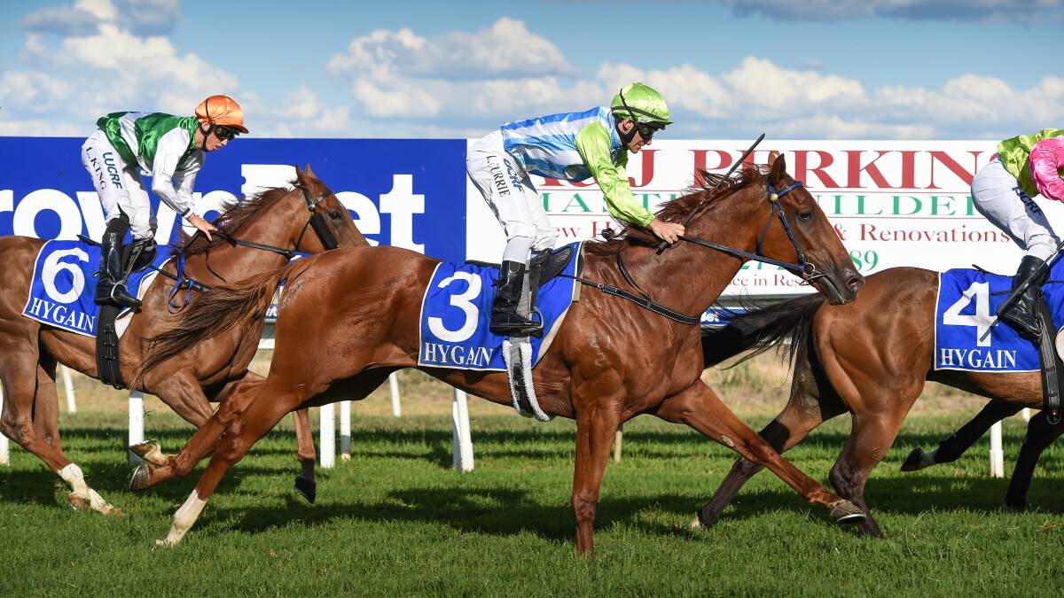 STRONG FANCY: The Geoff Duryea-trained Challenge Accepted (3) grabs a podium place at Wangaratta earlier this month. The four-year-old is rated a strong chance in the SDRA Country Championships Qualifier (1400m) at Albury on Sunday.