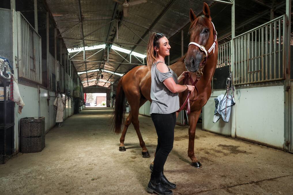 FINAL FAREWELL?: Trackwork rider Maddy Collins is hoping Little Red Devil can win what's shaping as his last Border start. Picture: JAMES WILTSHIRE
