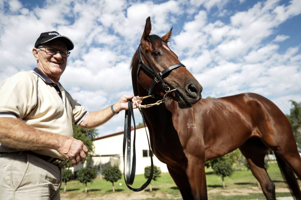 Bennelong Dancer's former trainer Graham Hulm, who has handed over the training to his daughter Donna Scott, will be hoping the five-year-old can again win a place in the Country Championships Regional Final.