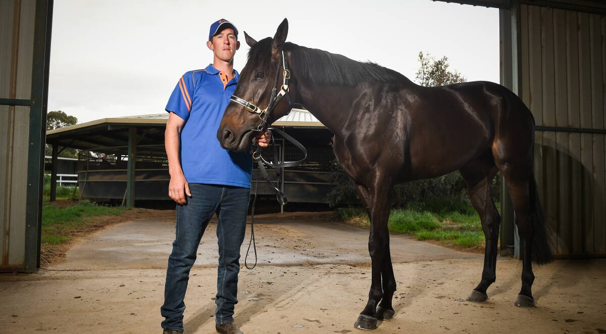 Chris Ledger will be hoping Frankly Harvey continues his strong form following a nasty fall last month when he contests the six-figure Wodonga Cup.