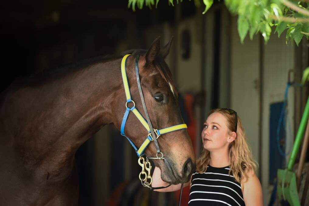 HIT THE HIGHWAY: Nothin' Like Harry will contest the Highway Handicap at Rosehill later this month with Teighan Worsnop hoping he can continue his strong form. Picture: MARK JESSER