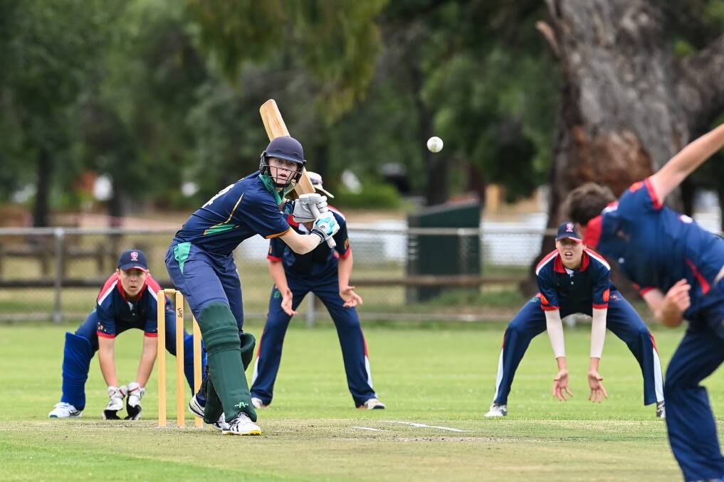 GREAT SCOTT: Riverina's Jake Scott stuck a superb 108 not out in the team's 84-run win over Western in the Bradman Cup. Picture: MARK JESSER