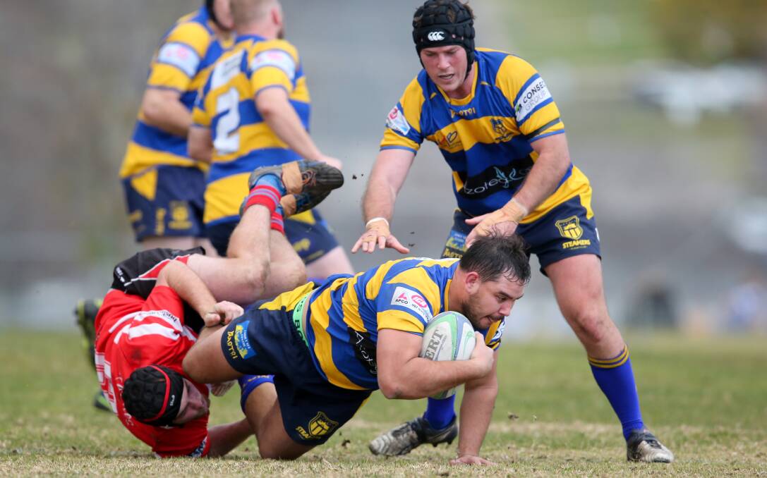 PERPETUAL MOTION: The Steamers' Mr Consistency - captain Tom Boyle - was again terrific against the students. The prop will be crucial against Tumut.