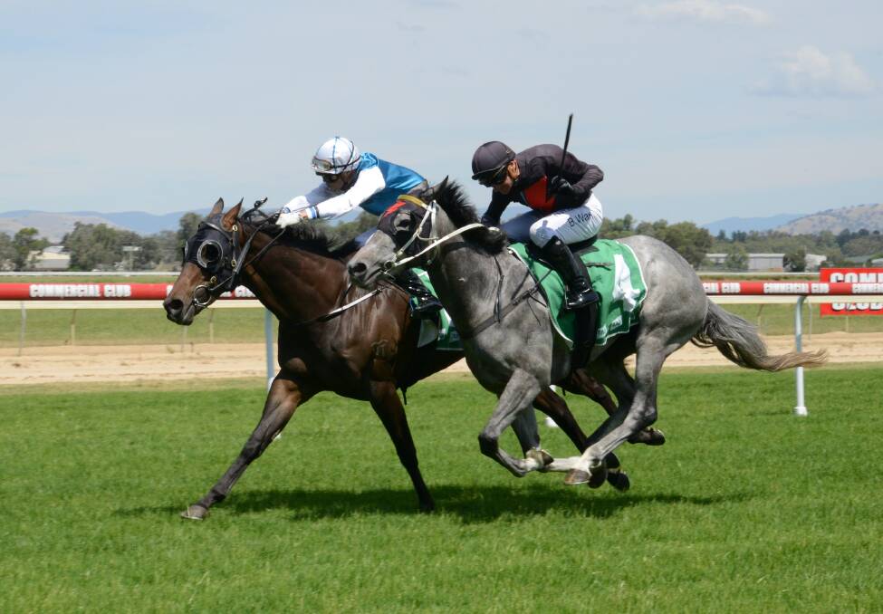 THRILLER: Jodie Bohr-trained Classy Nigella (far side) edges out Mitch Beer's Meladia in a thrilling finish to the second race at Albury yesterday. Picture: STEVE SHAW - TRACKPIX