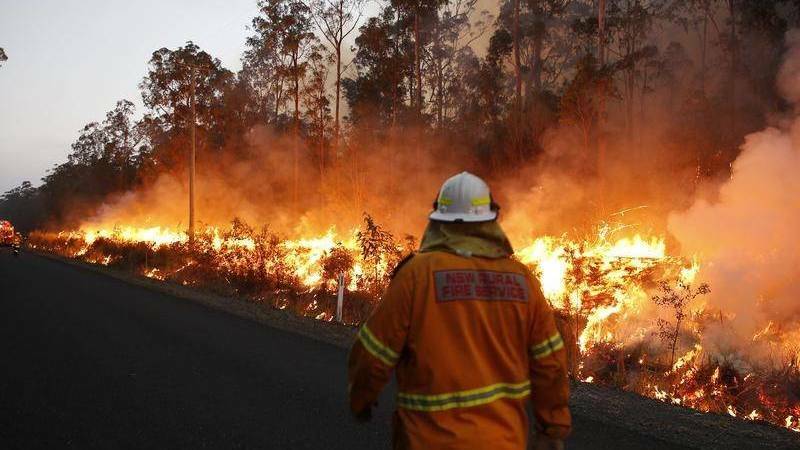 How Border residents can help bushfire victims and firefighters