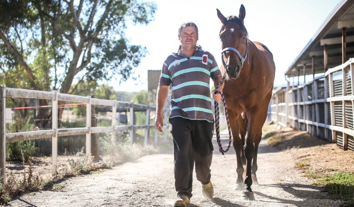 FLEMINGTON BOUND: Norm Loy with Butler Butler. The Albury trainer will head to Flemington today with stablemate Waiting For A Mate. Picture: JAMES WILTSHIRE