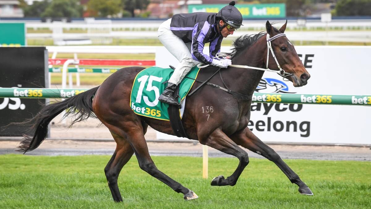 CLASSY: The Chris Calthorpe-trained Media Award winning at Geelong last month with Damien Oliver aboard. Picture: RACING PHOTOS