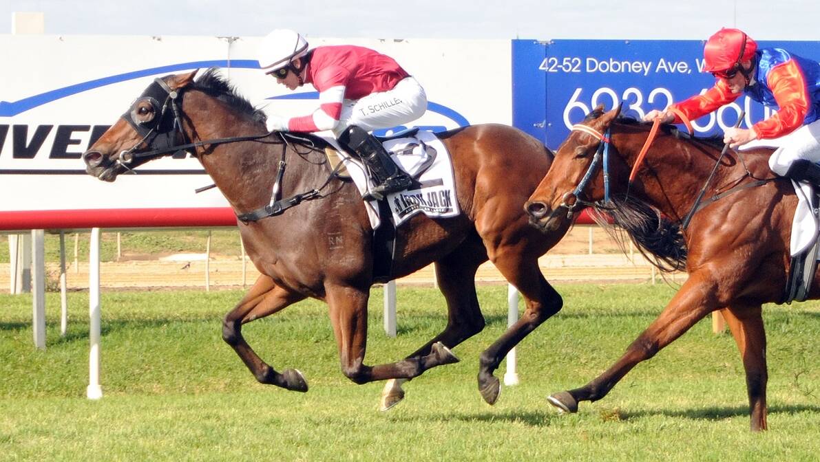BACK TO BACK: Parliament winning at Wagga earlier this month. The Andrew Dale-trained galloper made it back-to-back wins with victory in the Young Cup.