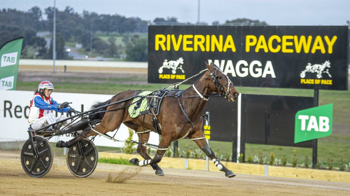 CRUISING: Reigning Pepper cruises to victory at Wagga Paceway on Sunday to take out the $51,000 group 2 feature for trainer Wayne Potter and reinswoman Amanda Turnbull. Picture: ASHLEA BRENNAN