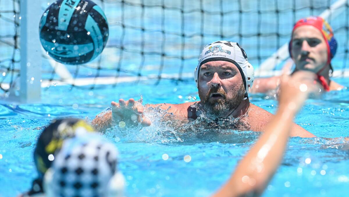 Sharks' Shannon Gould in action at the Albury Swim Centre.