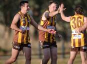 HIGH-FLYING HAWKS: Brendon Goddard celebrates a goal with his Hawks' team-mates. Goddard helped North Wangaratta to its second win of the season after defeating Greta. Pictures: JAMES WILTSHIRE