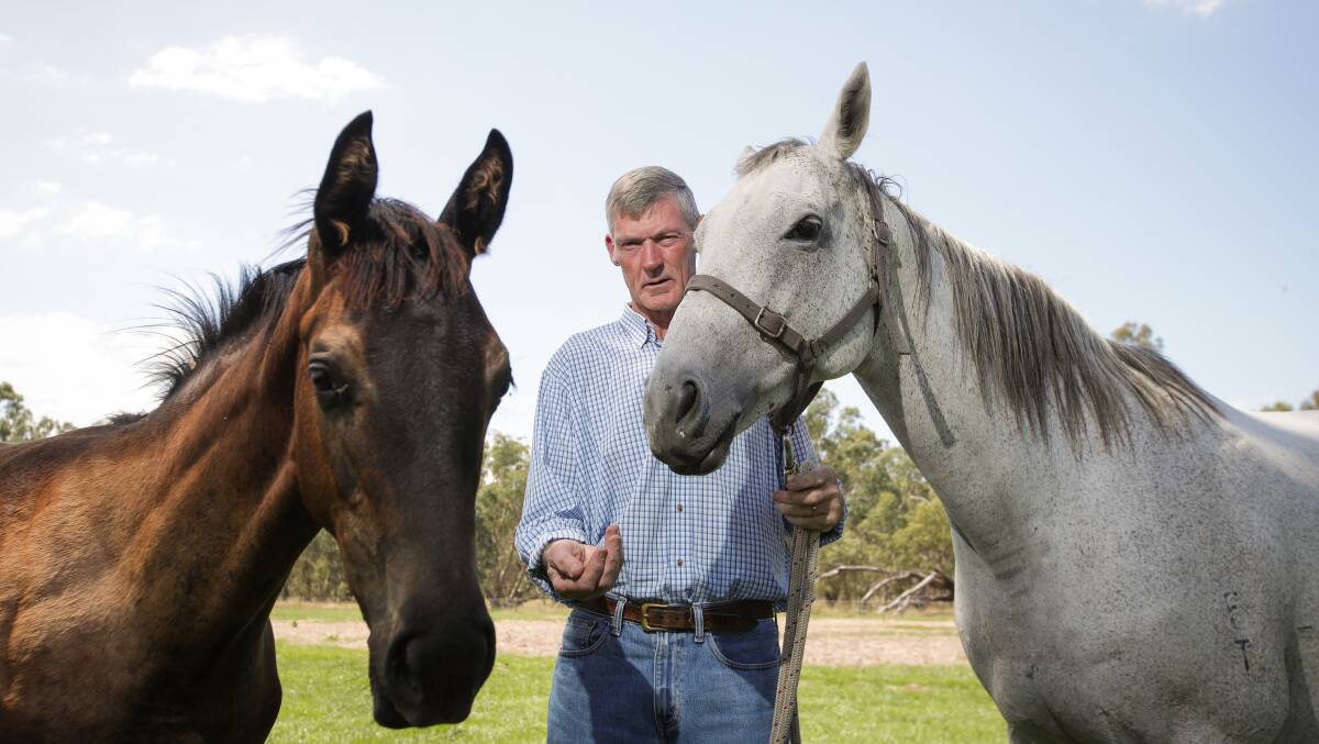 BRED TO WIN: Peter Tobin with his broodmare Out Of Credit and her most recent foal, a filly by Smart Missile. Out Of Credit is also the dam of Tap 'N' Run who it trained by Ron Stubbs. Picture: JAMES WILTSHIRE