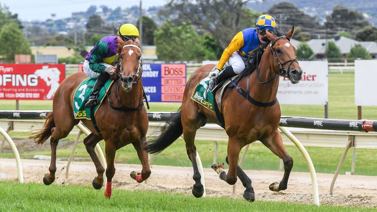 FANCIED: Lady Kermadec (yellow hat) running second on Wodonga Cup day. The David O'Prey-trained mare has two wins from two starts at Albury. Picture: RACING PHOTOS