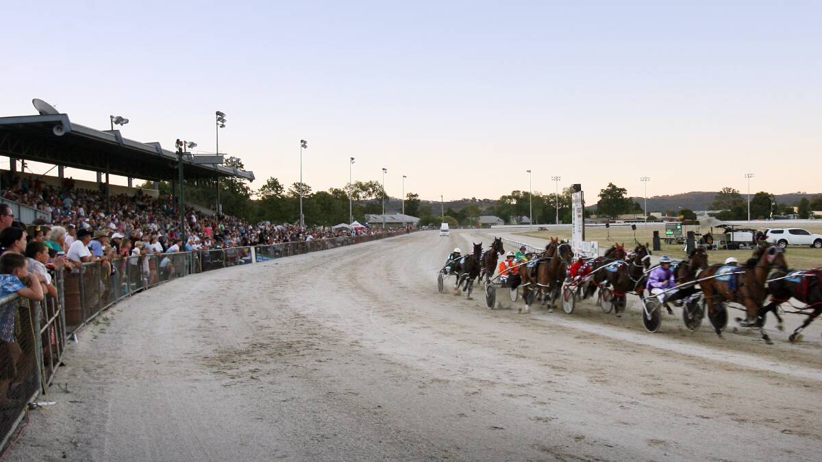 Best bets at the Albury Paceway on New Year's Eve