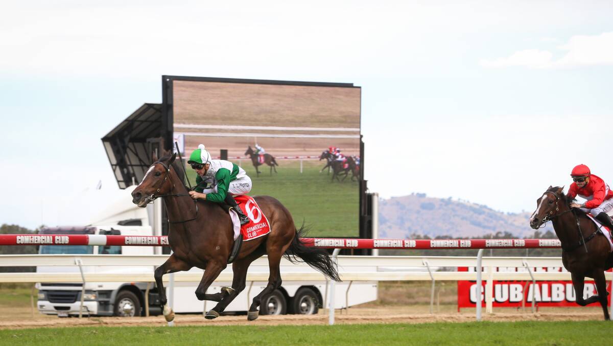 ARROGANT: The Gai Waterhouse and Adrian Bott-trained Entente had the Albury Gold Cup won a long way from home. Picture: JAMES WILTSHIRE
