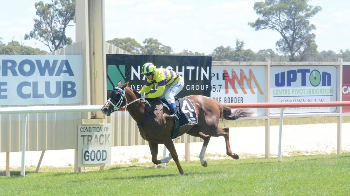DOMINANT: The Andrew Dale-trained Strawberry Swing careered away for an easy victory at Corowa on Tuesday with jockey Michael Travers aboard.
