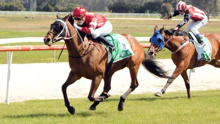 The Andrew Dale-trained Fromista winnig the $10,000 Benchmark 50 Hcp, (1600m) with Hannah Williams aboard.