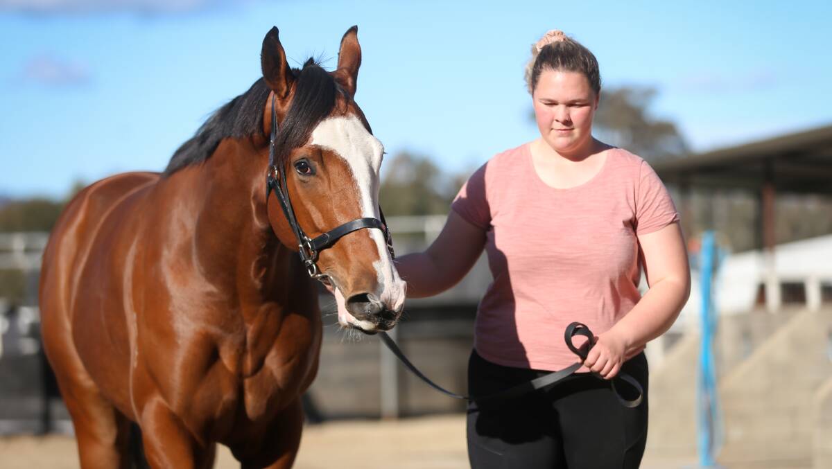 FLASHY LOOKER: Stablehand Demelza Rowland takes Seventh Seal for a stroll around Mitch Beer's stables.The striking looking gelding is a full brother to group one winner First Seal. Picture: JAMES WILTSHIRE